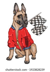 Belgian shepherd malinois illustration. A dog in a bright jacket with a racing flag in its teeth. Hand drawn style vector illustration. Stylish image for printing on any surface