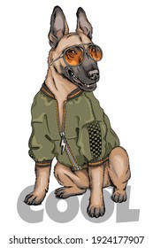 Belgischer Hirtenmalinois-Illustration. С duftiger Hund mit Sonnenbrille. Handgezeichnete Illustration. Stilvolles Bild für den Druck auf einer beliebigen Oberfläche