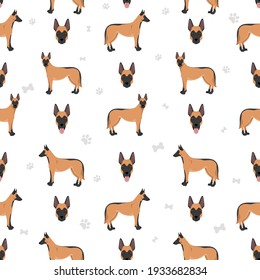 Belgian shepherd malinois seamless pattern. Different poses, coat colors set.  Vector illustration