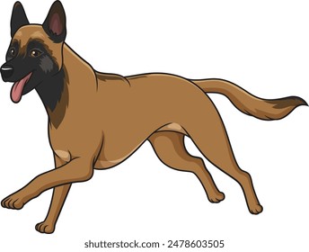 Belgian shepherd running vector illustration