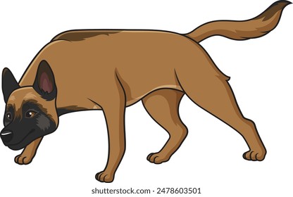 Belgian shepherd sniffing vector illustration