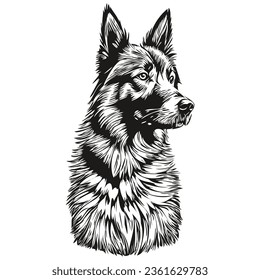 Belgian Tervuren dog ink sketch drawing, vintage tattoo or t shirt print black and white vector realistic breed pet