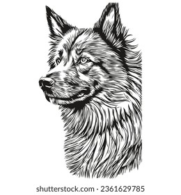 Belgian Tervuren dog vector face drawing portrait, sketch vintage style transparent background sketch drawing