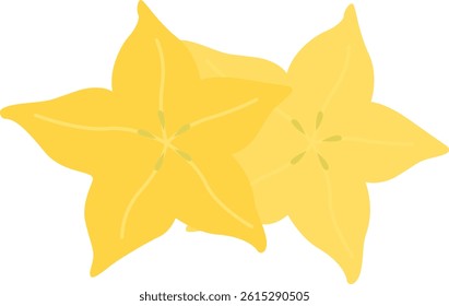 Belimbing or Star Fruit Illustration