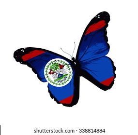 Belize flag butterfly - vector