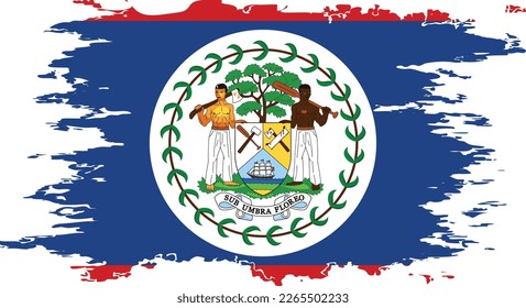 Belize flag grunge brush color image, vector