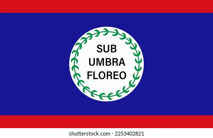 Bandera de Belice simple ilustración para el día de la independencia o las elecciones
