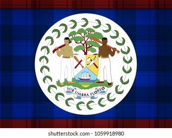Belize Flag vector illustration.Belize Flag. National Flag of Belize.