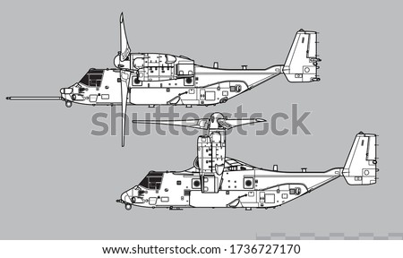 Bell Boeing V-22 Osprey. Vector drawing of VSTOL military transport aircraft. Side view. Image for illustration and infographics.