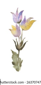 bell flower