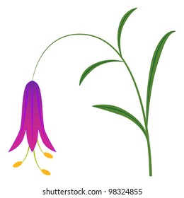 Bell flower