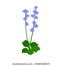 Glockenblume. Schöne Blume für die Herstellung von Sommer- und Frühlingswiesen-Designs. Vektorillustration.