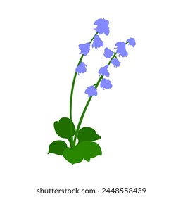 Bell flower. Beautiful flower for making summer and spring meadow  designs. Vector illustration.