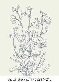 Bell flower branch. Vector artwork