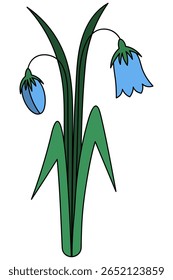 Flor de Bell. Delicados botões de flores azuis e grandes folhas verdes. Ilustração do vetor de cores. Planta de floração. Estilo de desenho animado. Fundo branco isolado. Ideia para web design, convite, cartão postal.