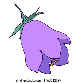 flor de timbre, elemento vector de estilo de doodle, ilustración botánica de color libre