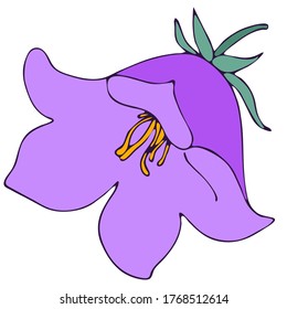 bell flower, doodle style vector element, freehand color botanical illustration