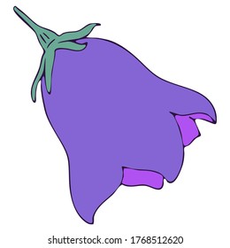 Glockenblume, Doodle-Stil-Vektorelement, Freehand-farbige botanische Illustration