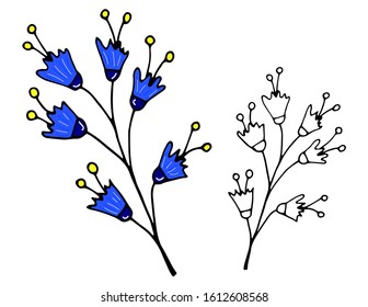 Bell flower isolated on white background, hand drawn graphic vector colorful ink sketch, floral decorative element for design pattern, cosmetic packaging, greeting card, wedding invitation,herbal tea