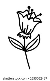 BELL FLOWER ON A WHITE BACKGROUND IN VECTOR