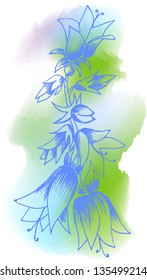 Bell flower, vector illustration.