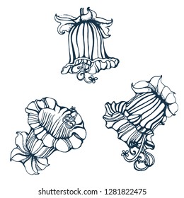 bell flowers set, hand drawing vector