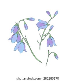 bell flowers - vector isolated on a white background