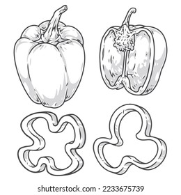 Pimientos monocromados de paprika de grano con pimientos enteros y cortados en rodajas crudas para publicitar verduras de granja y productos ilustrativos vectoriales