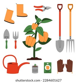 A bell pepper bush surrounded by essential gardening tools to help grow peppers: shovel, seeds, watering can, gloves, rake, seedlings, pruner and other.