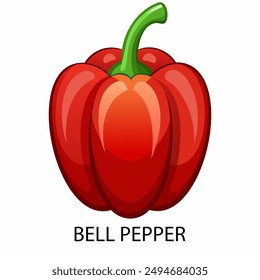 Bell pepper in cartoon style on a white background. Vector illustration.