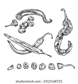 Glockenpfeffer-Kollektion, halbe, geschnittene Slice Draufsicht und ganze. Schwarz-Weiß-Doodle-Zeichnung im Holzschnitt-Stil. Erzeugnis auf dem Agrarmarkt. Paprika-Symbol