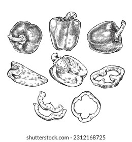Glockenpfeffer-Kollektion, halbe, geschnittene Slice Draufsicht und ganze. Schwarz-Weiß-Doodle-Zeichnung im Holzschnitt-Stil. Erzeugnis auf dem Agrarmarkt. Paprika-Symbol