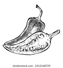 Bell pepper collection, half, cut slice top view and whole. Ink black and white doodle drawing in woodcut style. Product on the agricultural market. paprika icon