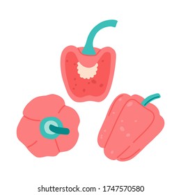 Bell pepper concept, fresh vegetables. Vector illustration flat cartoon style on isolated white background. 