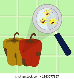 Bell pepper contaminated with cartoon microbes being cleaned and washed in a kitchen. Microorganisms, virus and bacteria in the vegetable enlarged by a magnifying glass.