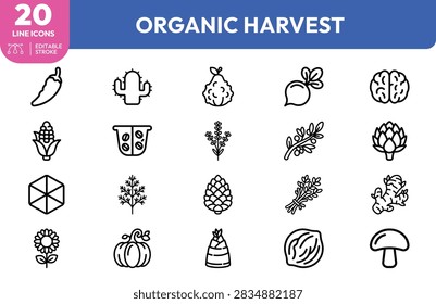 Bell pepper, corn, pineapple, artichoke, mushroom, herb, bee, honeycomb, basket, and farming tools organic farming sustainable agriculture applications.