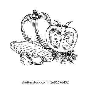 Bell pepper, cucumber, tomato, garlic, dill in line art style.