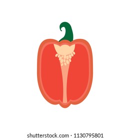 Bell pepper cut half vegetable vector icon color