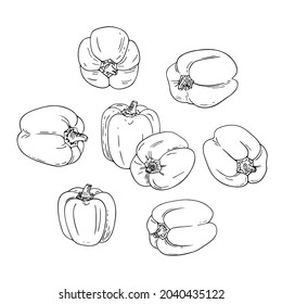 Bell pepper doodle icon set.Hand-drawn sketch drawing.Vegetarian food,vegetables with vitamins for healthy lifestyle,balanced nutrition,correct diet.Isolated.Vector illustration.