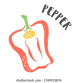 Dibujo de Bell Pepper pintado a mano con pincel de tinta aislado en fondo blanco. Ilustración del vector