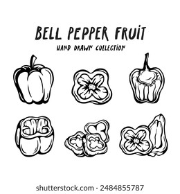 Concepto dibujado a mano de la fruta del pimiento de campana sobre fondo blanco