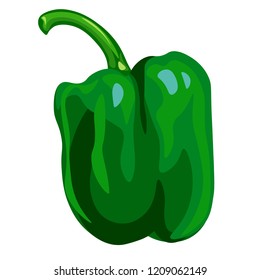Bell pepper green 1 vector