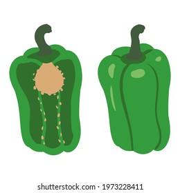 Bell Pepper green healthy organic nutrition product, whole, half cut. Vector cartoon flat trendy illustration hand drawn isolated