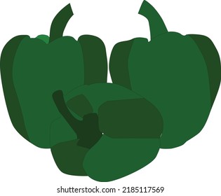 bell pepper green vector illustration