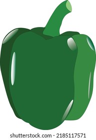 bell pepper green vector illustration