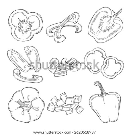 Bell Pepper hand drawn set. Sketch Vegetable. Engraved style illustration, full, half and slices. Paprika