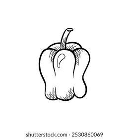 Icono de Vector de alimentos dibujado a mano de pimienta de campana