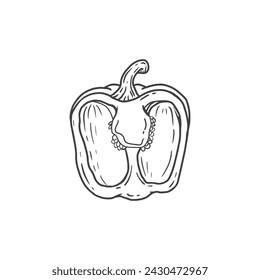 bell pepper illustration in doodle style. Hand drawn half a pepper. Fresh vegetable isolated on white background. Sketch. Vector illustration