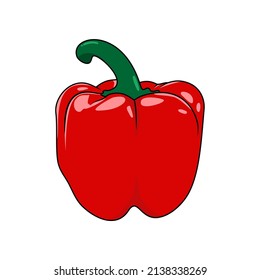Bell pepper illustration vector design