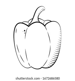 Bell pepper isolated on white background. Eco food. Website design, mobile app. Coloring page. Vector illustration vegetable in cartoon style